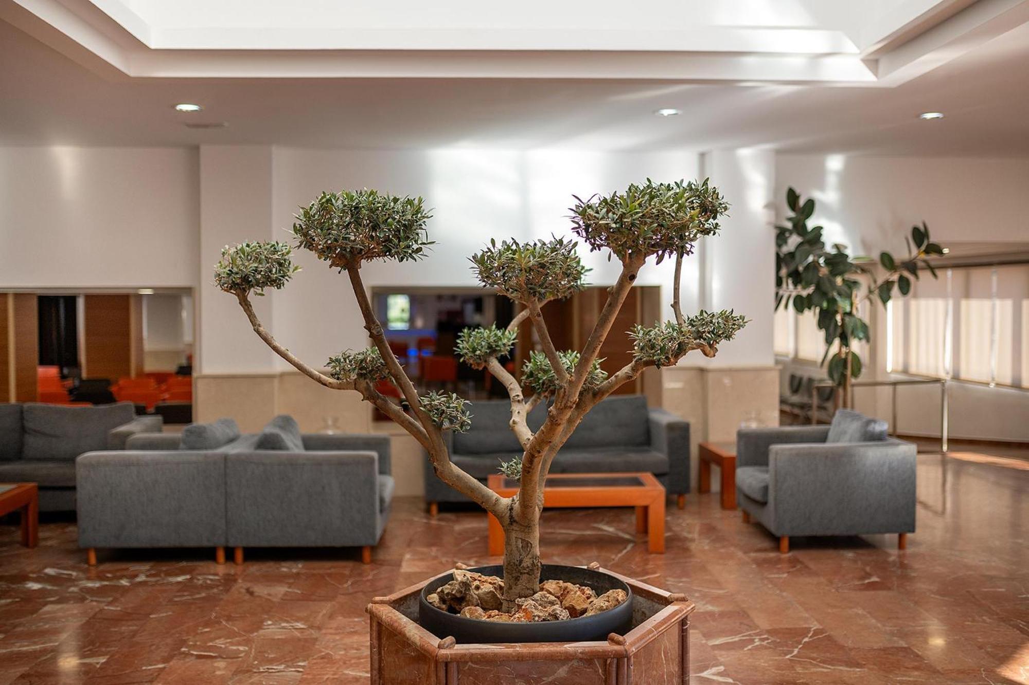 Hotel Playas De טורבייחה מראה חיצוני תמונה